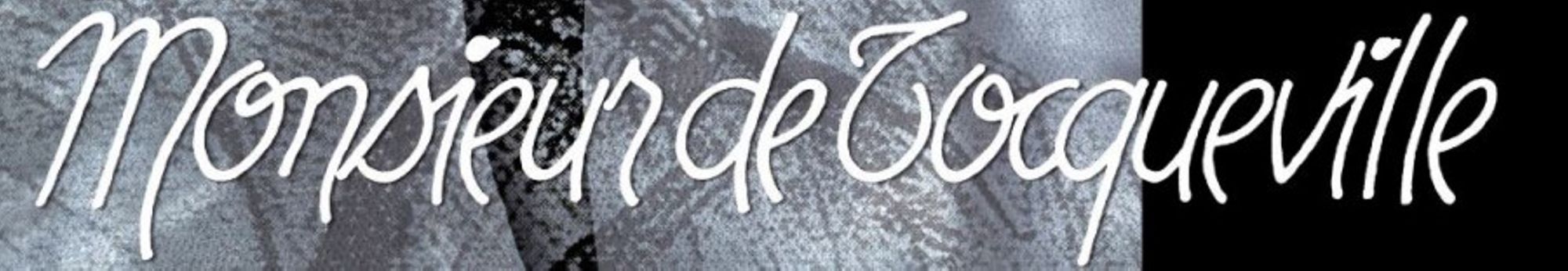 Qui êtes-vous Monsieur de Tocqueville ?