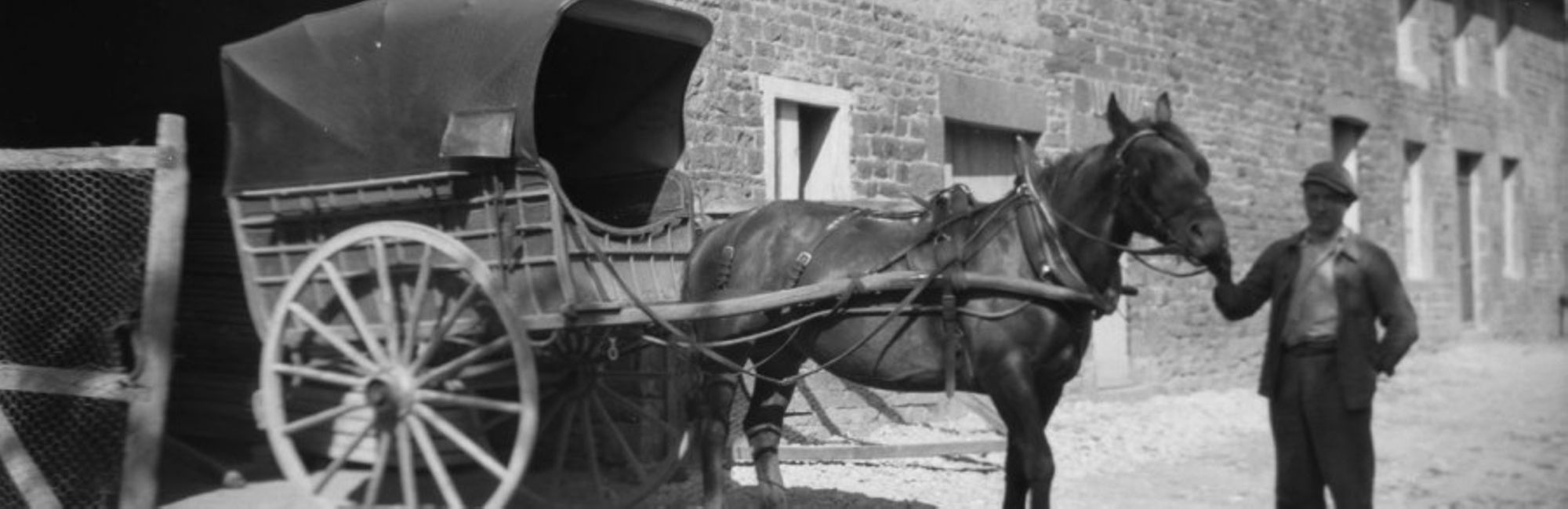 Fonds de la famille Cardin